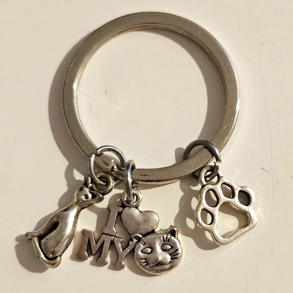 Stainless Steel Keychain - Picture 2 of 4
